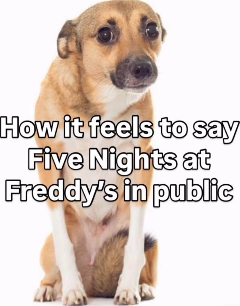 How it feels to say Five Nights at Freddy's in public