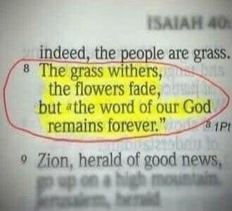 indeed, the people are grass. The grass withers, the flowers fade, but the word of our God remains forever. Zion, herald of good news, go up on a high mountain.