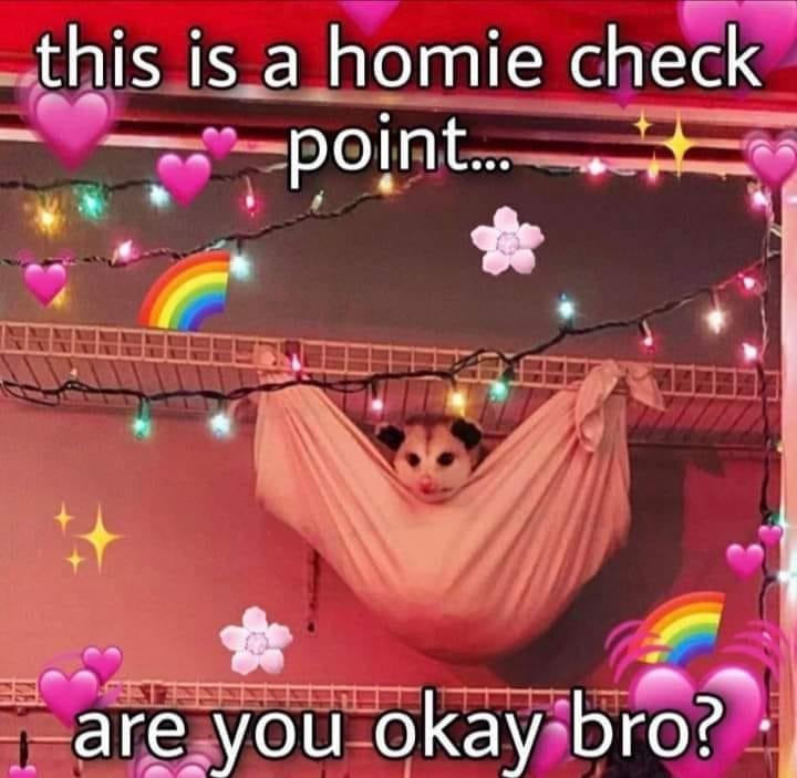 this_is_a homie chem rr p T Uu 0