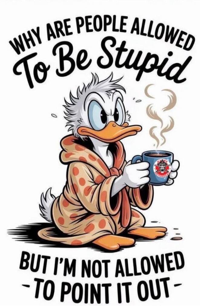 Why are people allowed to Be Stupid But I’m not allowed to point it out