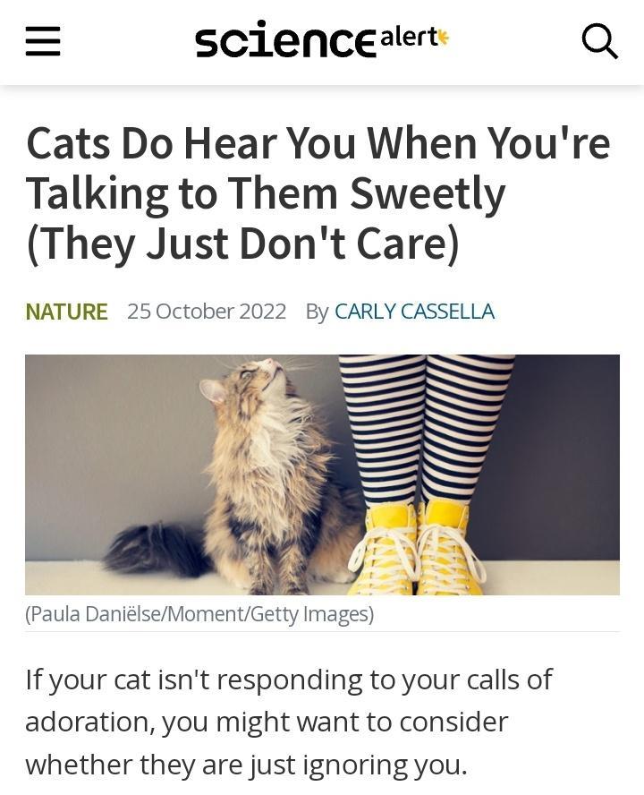 scienceaert Q Cats Do Hear You When Youre Talking to Them Sweetly They Just Dont Care NATURE 25 October 2022 By CARLY CASSELLA Paula DaniiseMomentGetty Images If your cat isnt responding to your calls of adoration you might want to consider whether they are just ignoring you