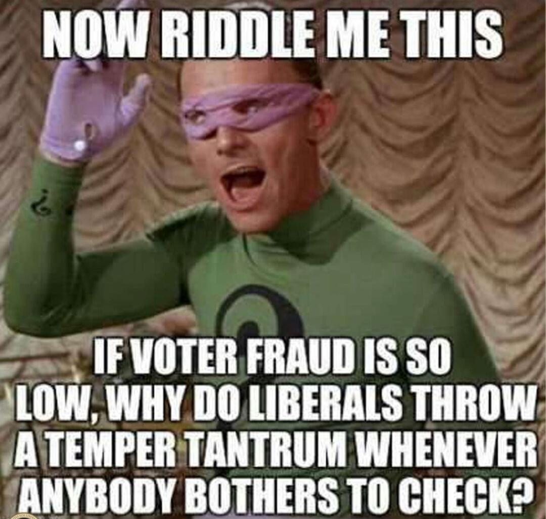 NOW RIDDLE ME THIS IF VOTER FRAUD IS SO LOW, WHY DO LIBERALS THROW A TEMPER TANTRUM WHENEVER ANYBODY BOTHERS TO CHECK?