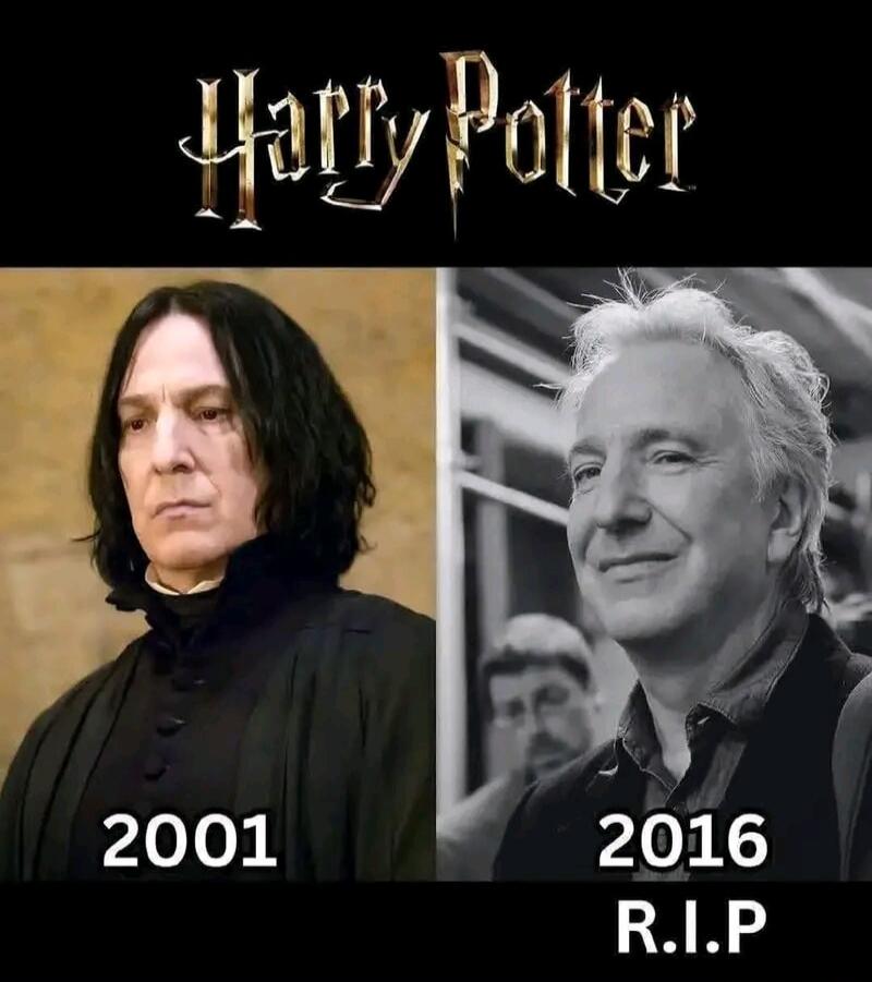 Harry Potter 2001 2016 R.I.P