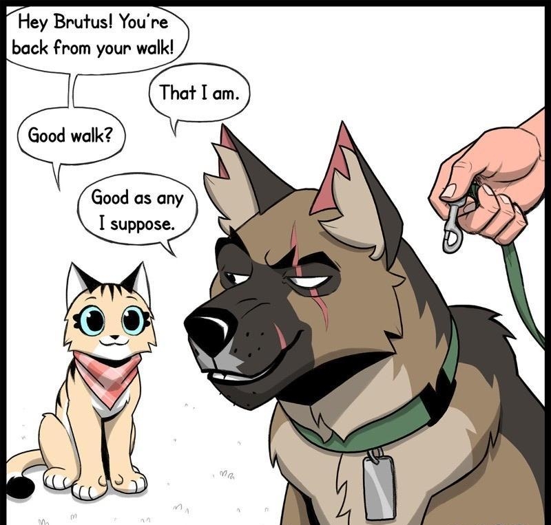 Hey Brutus Youre back from your walk