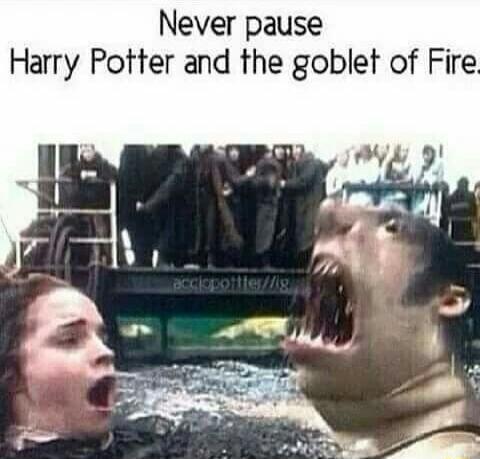 Never pause Harry Potter and the goblet of Fire