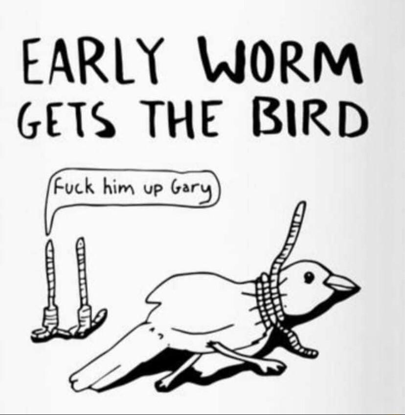 EARLY WORM GETS THE BIRD