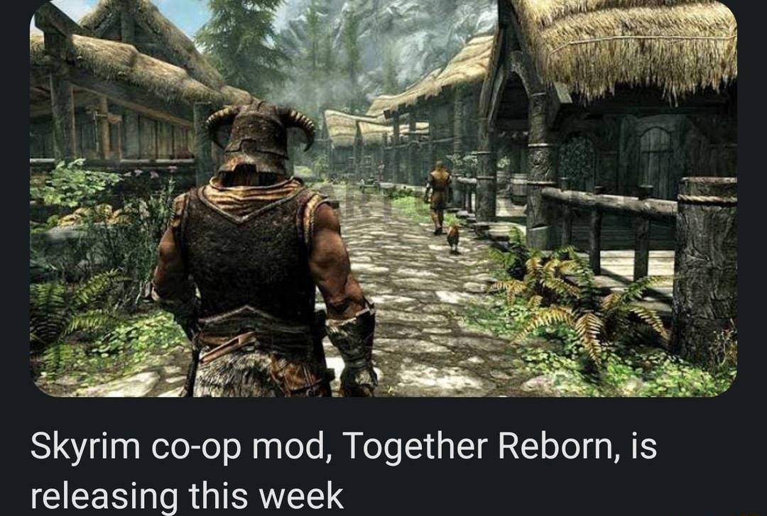 Skyrim co op mod Together Reborn is releasing this week