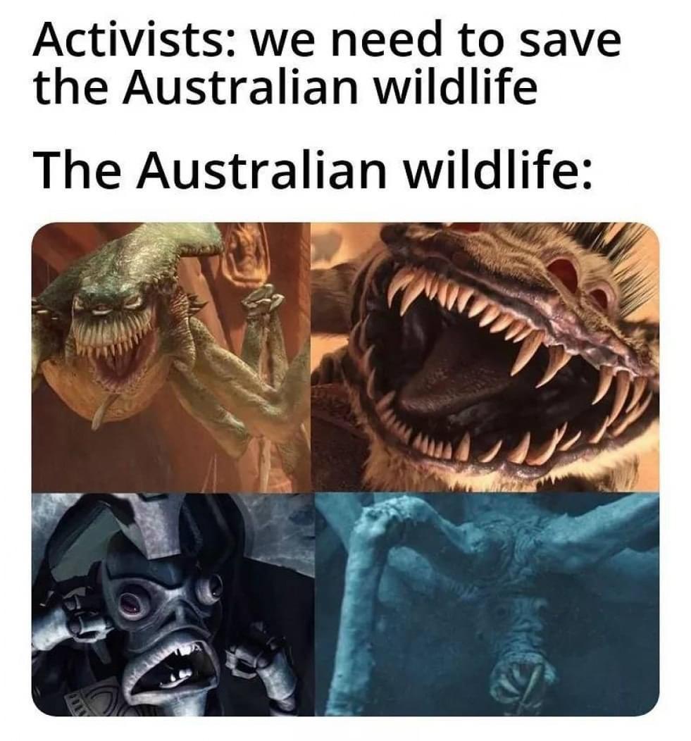 Activists we need to save the Australian wildlife The Australian wildlife