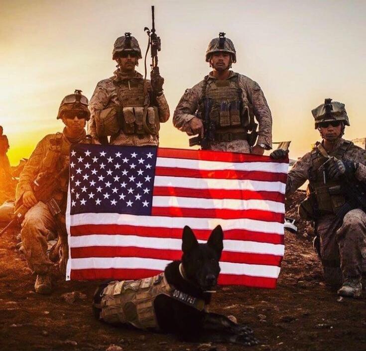 A group of soldiers posing with a large American flag, kneeling and standing on a rocky terrain at sunset. A black German Shepherd sits in front of the flag.