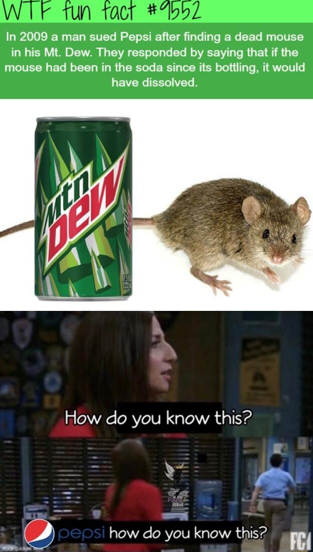 NG ELETES LB CIE T T IERCEET R G IVEEY in his Mt Dew They responded by saying that if the mouse had been in the soda since its bottling it would LEVERGIEEL VLR How do you know this X S e how do you know this el