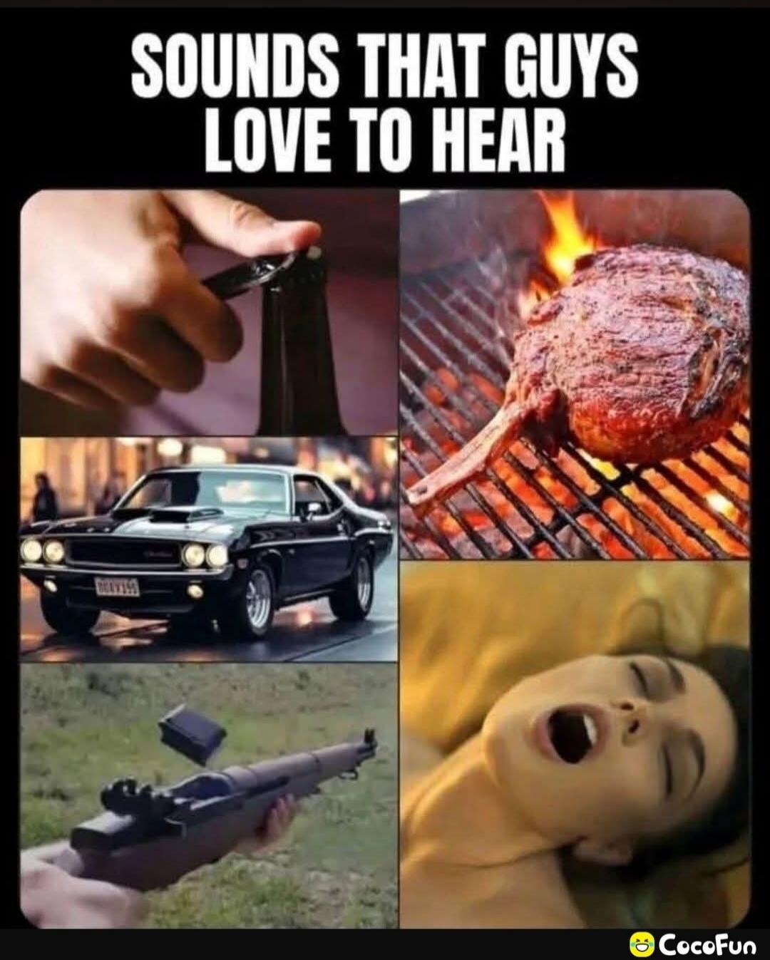 SOUNDS THAT GUYS LOVE TO HEAR. The sound of a beer bottle opening, meat sizzling on a grill, a powerful car engine, a rifle reloading or firing, and a woman's moans.