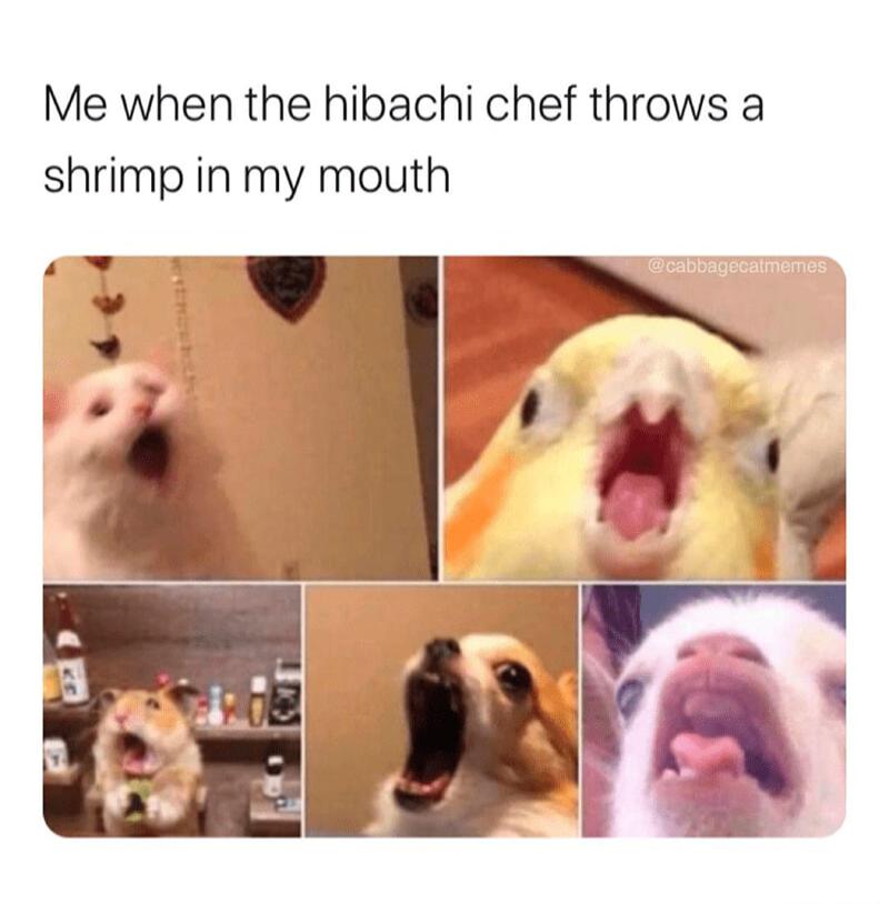 Me when the hibachi chef throws a shrimp in my mouth