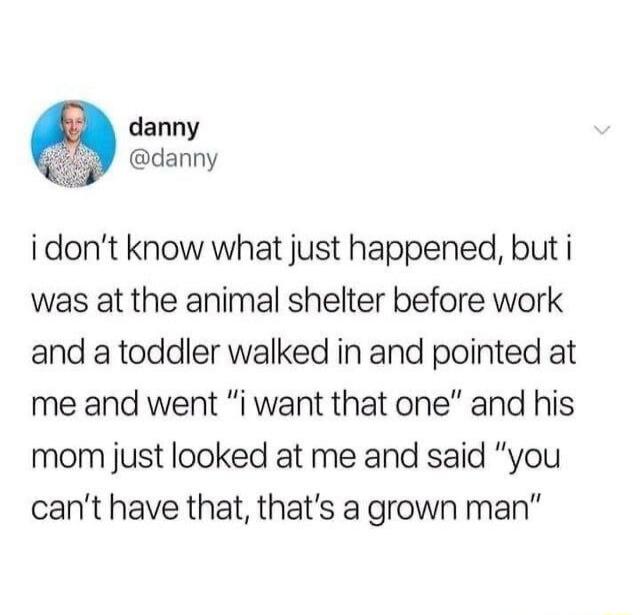 i don't know what just happened, but i was at the animal shelter before work and a toddler walked in and pointed at me and went 