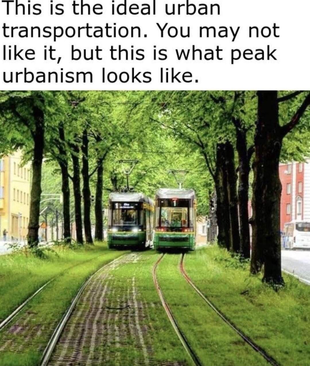 transportation You may not like it but this is what peak urbanism looks like