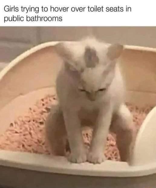 Girls trying to hover over toilet seats in public bathrooms