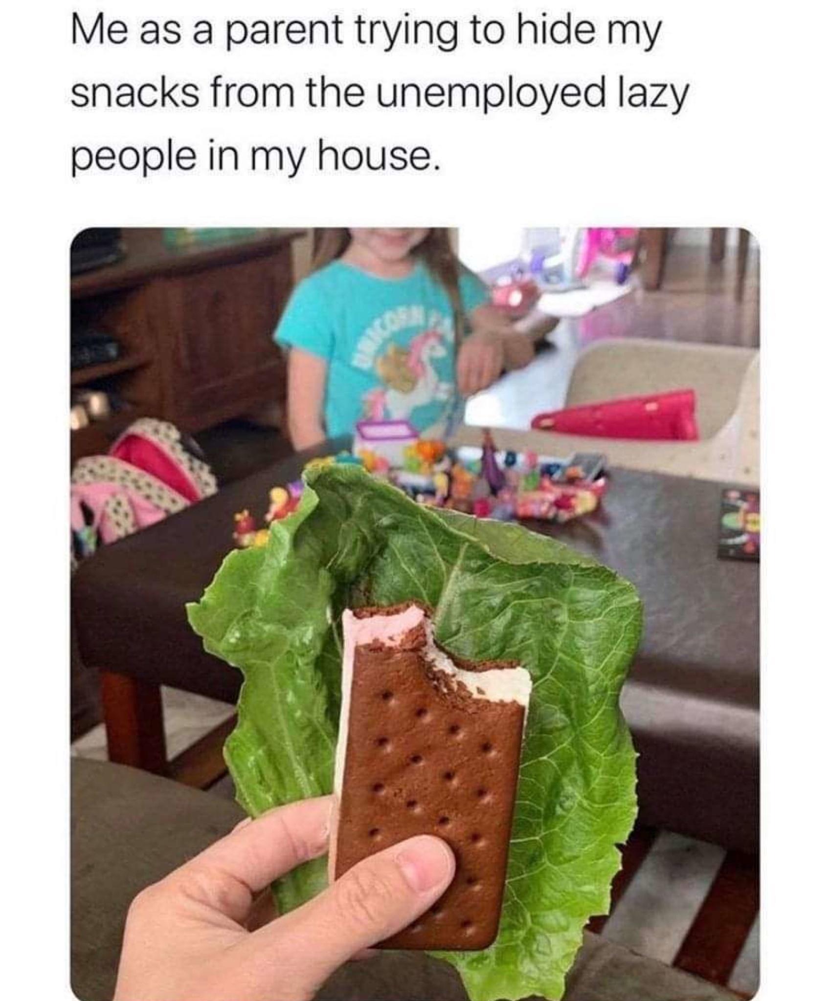 Me as a parent trying to hide my snacks from the unemployed lazy people in my house