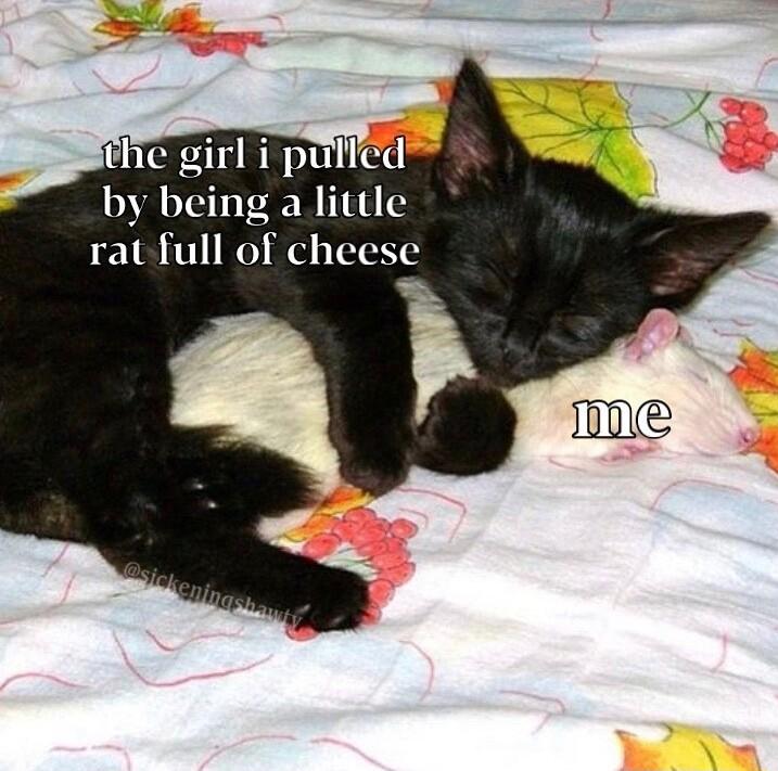 girl i pulled by being a little rat full of cheese