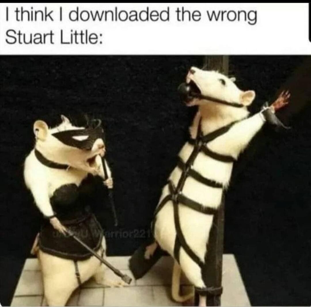 I think I downloaded the wrong Stuart Little: