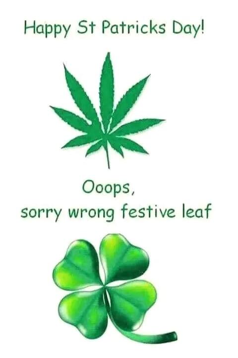 Happy St Patricks Day! Ooops, sorry wrong festive leaf