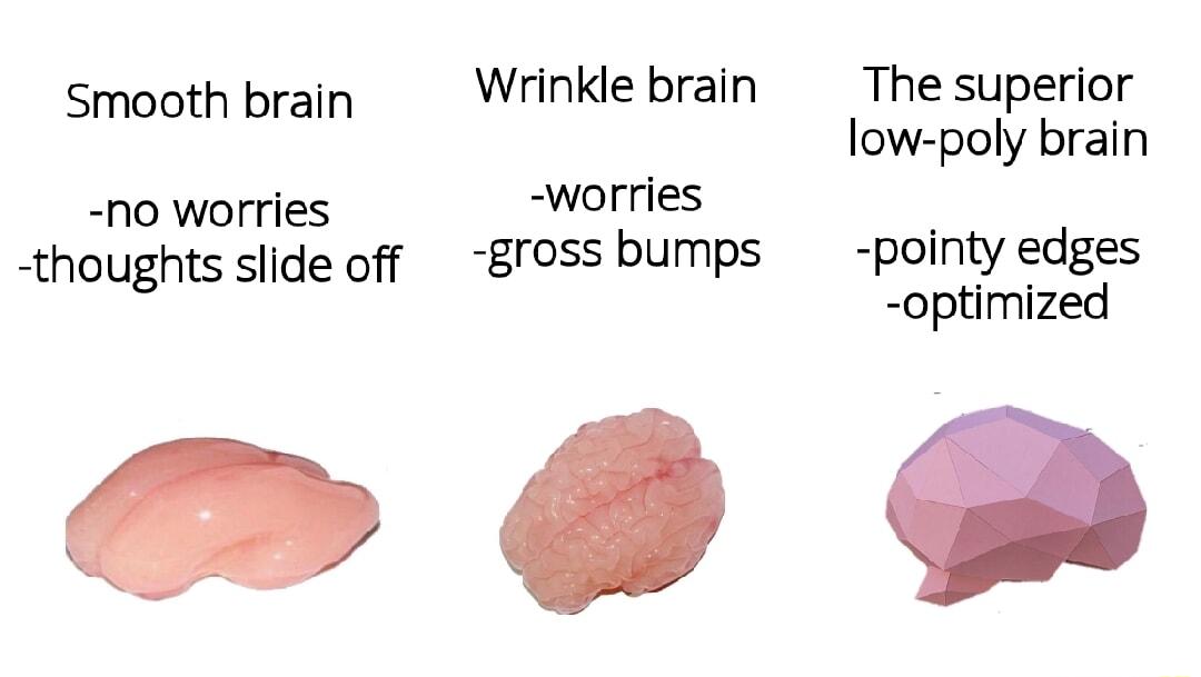 Smooth brain Wrinkle brain The superior low poly brain no worries worries thoughts slide off 8rossbumps pointy edges optimized