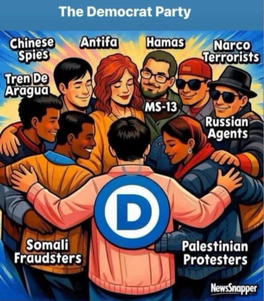 The Democrat Party Chinese Spies Antifa Hamas Narco Terrorists Tren De Aragua MS-13 Russian Agents Somali Fraudsters Palestinian Protesters NewsSnapper