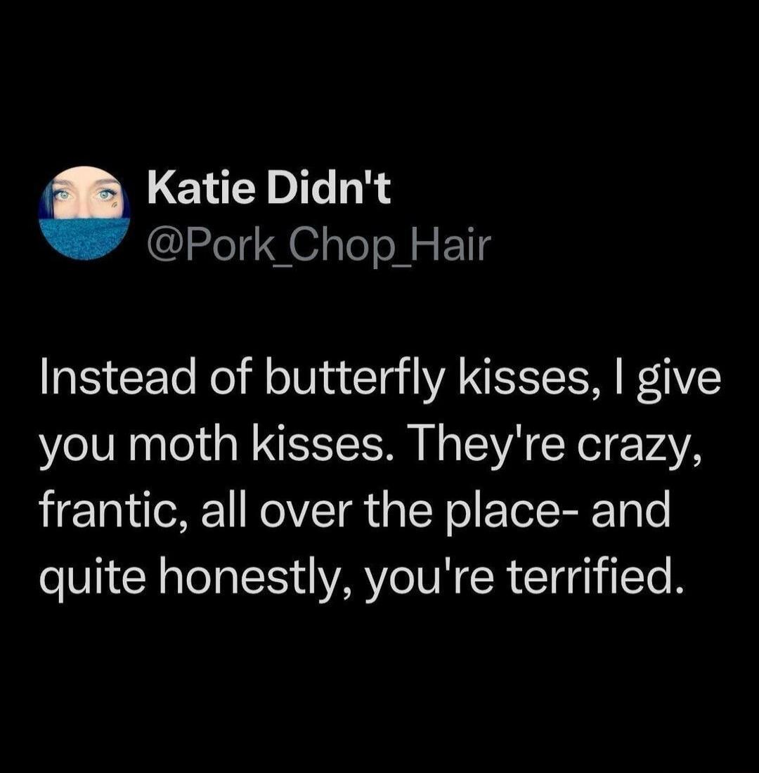 Katie Didn't @Pork_Chop_Hair Instead of butterfly kisses, I give you moth kisses. They're crazy, frantic, all over the place- and quite honestly, you're terrified.