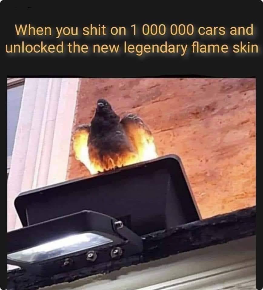When you shit on 1 000 000 cars and 0 oTel Yo Mg N VYA LYo T o le 1A ETa LR g