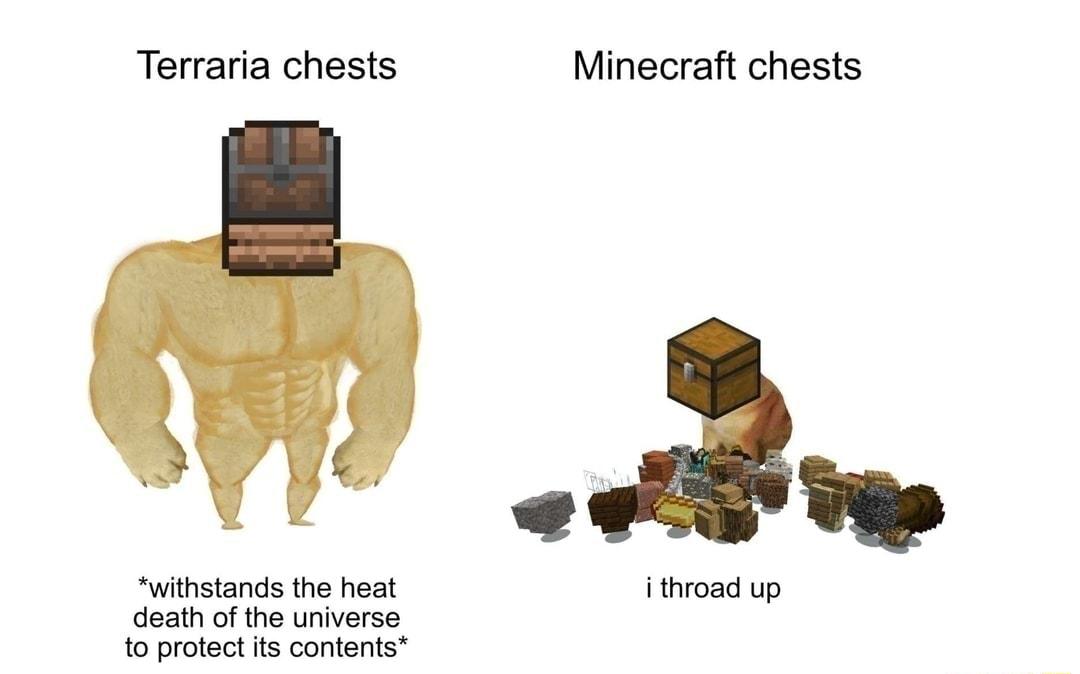 Terraria chests Minecraft chests 955 VR withstands the heat i throad up death of the universe to protect its contents
