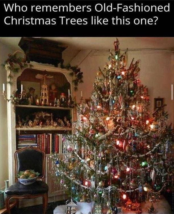 Who remembers Old Fashioned Christmas Trees like this one