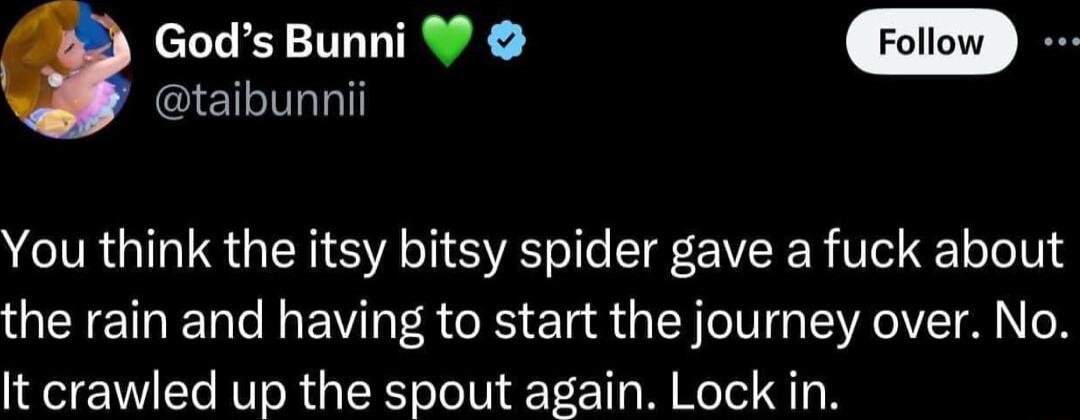 0 Gods Bunni taibunnii You think the itsy bitsy spider gave a fuck about the rain and having to start the journey over No It crawled up the spout again Lock in