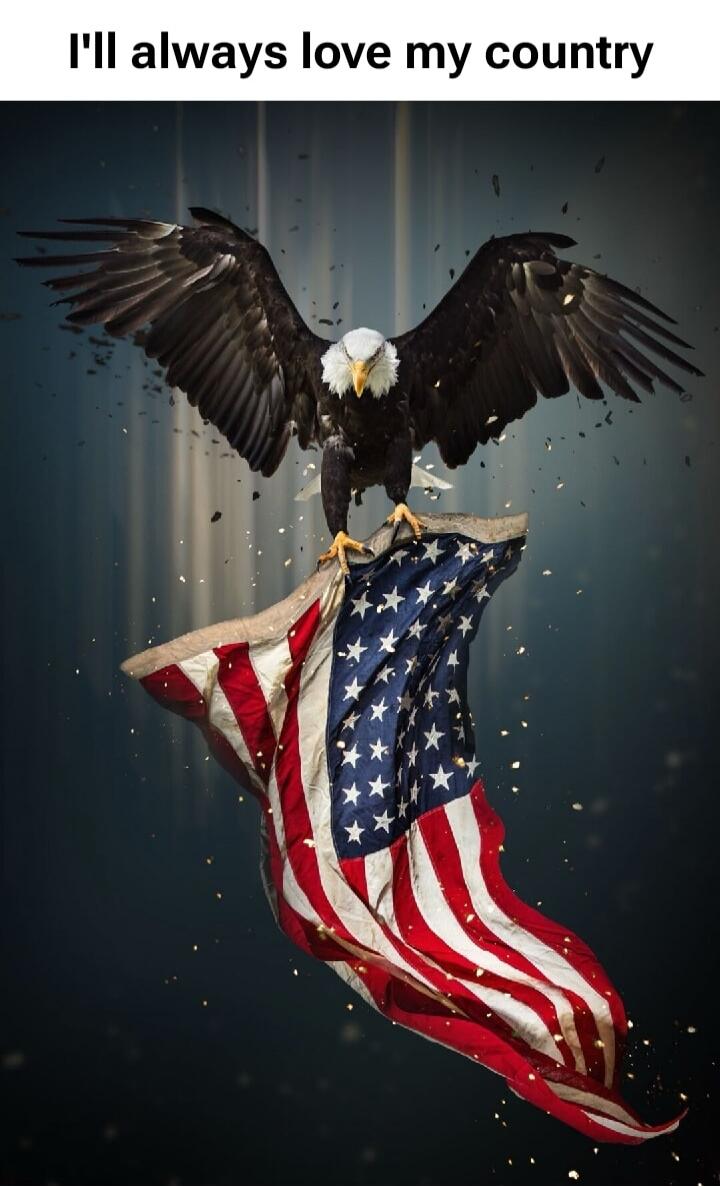 I'll always love my country