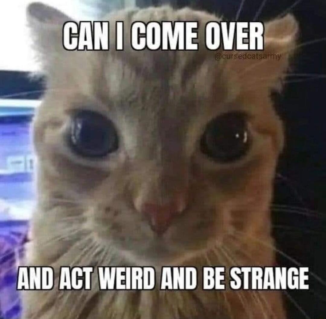 HIEL 0 lHDiTJWEiHD AND BE STRANGE