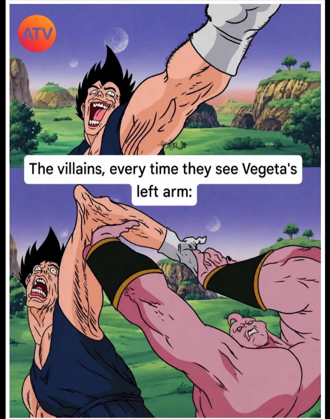 The villains, every time they see Vegeta's left arm: A two-panel meme showing a character resembling Vegeta screaming in pain as his left arm is twisted, first by an unseen opponent and then by Majin Buu.
