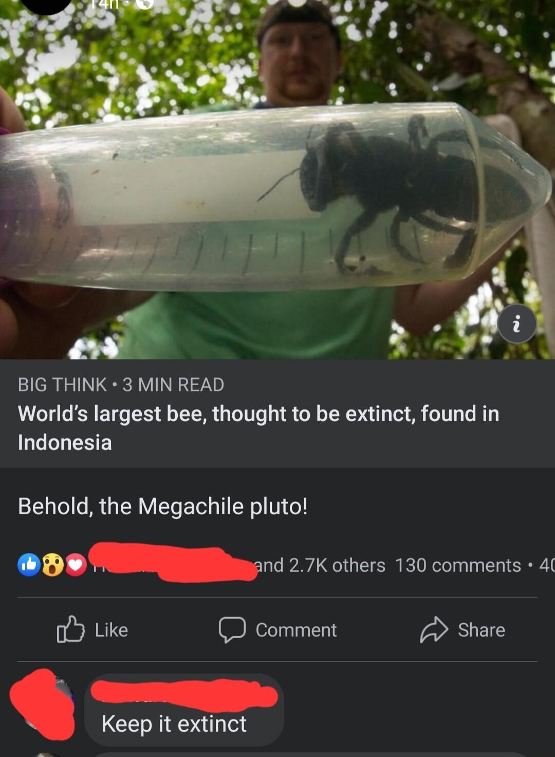 BIG THINK 3 MIN READ Worlds largest bee thought to be extinct found in Indonesia Behold the Megachile pluto Ll nd 27K others 130 comments 4 o Like 2 comment Share Keep it extinct