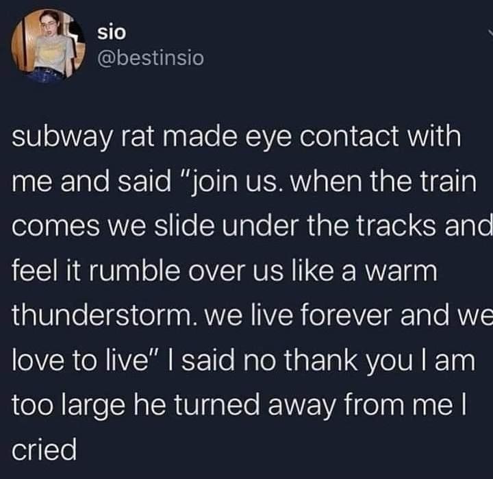 sio l s e subway rat made eye contact with CTalo KF1l0 R Te aNVERYalslaRia R 1 ele0p SIAVIERS fo CHVIpTe T ia LRI ETe S X 0 l0 feel it rumble over us like a warm thunderstorm we live forever and we love to live said no thank you am too large he turned away from me cried