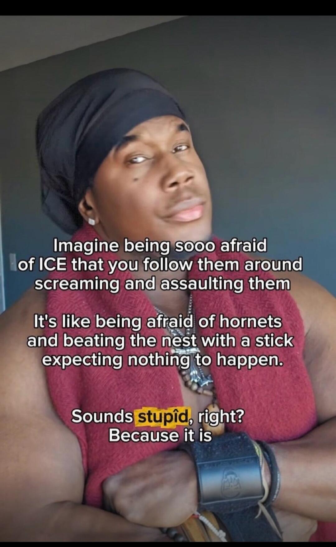 Imagine being sooo afraid of ICE that you follow them around screaming and assaulting them
It's like being afraid of hornets and beating the nest with a stick expecting nothing to happen.
Sounds stupid, right? Because it is