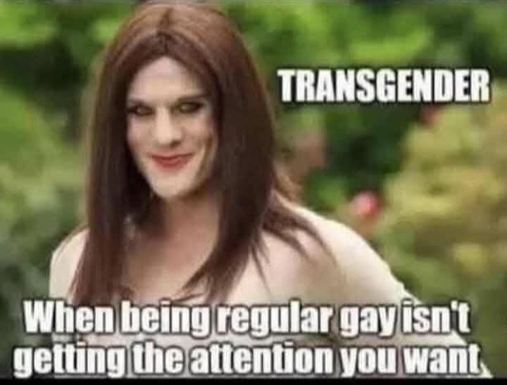 TRANSGENDER When being regular gay isn't getting the attention you want