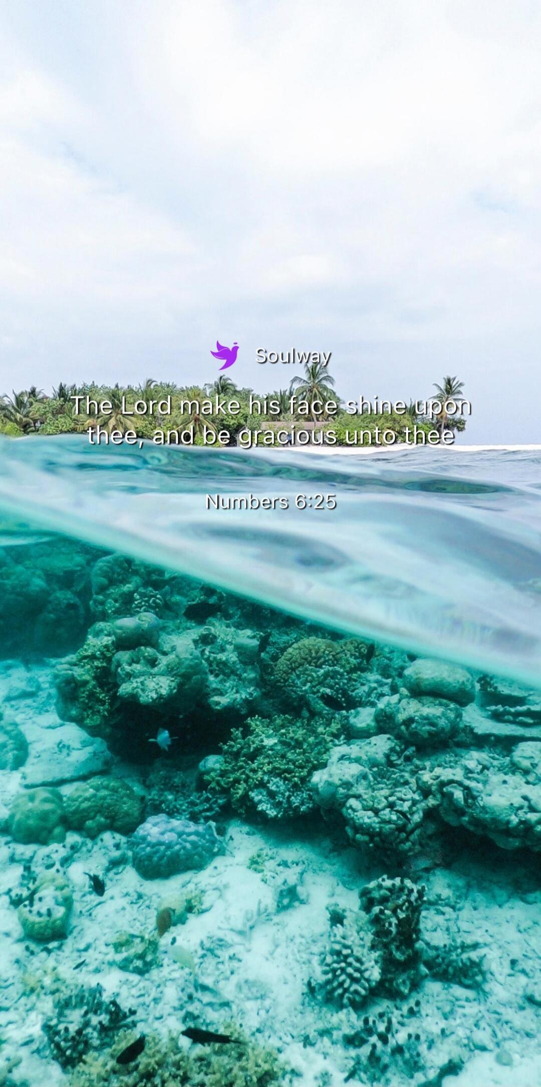 Soulway The Lord make his face shine upon thee, and be gracious unto thee Numbers 6:25