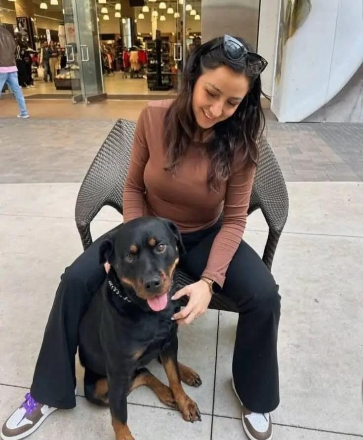 A woman is sitting on a chair, smiling and gently petting a Rottweiler dog. The dog is sitting calmly in front of her with its tongue slightly out, looking towards the camera. They appear to be in an outdoor public area, possibly near a shopping center entrance.