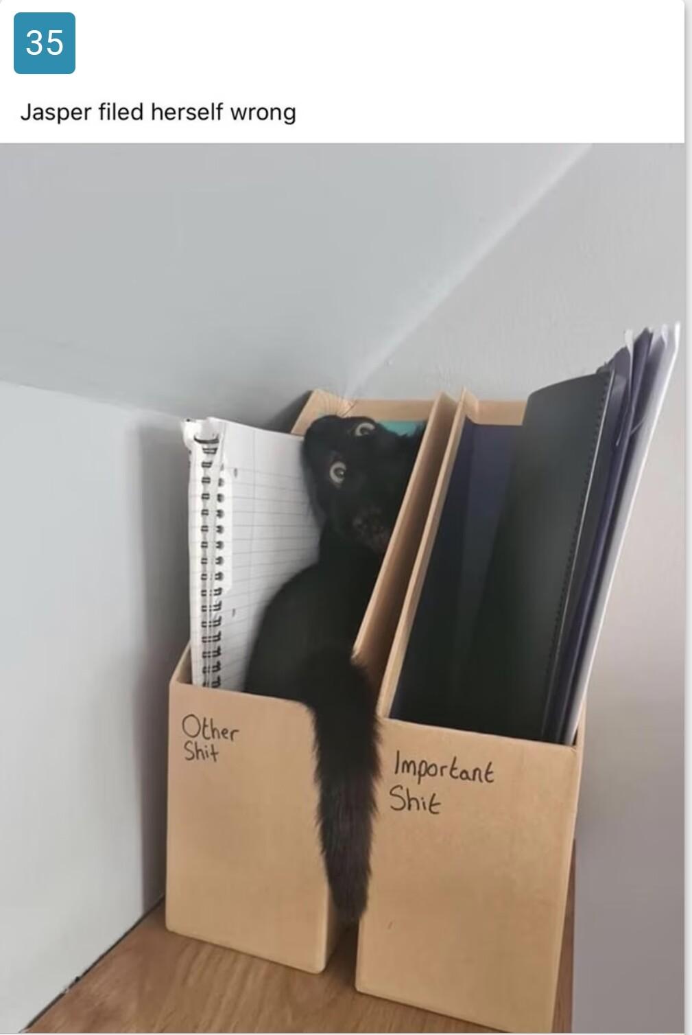 Jasper filed herself wrong