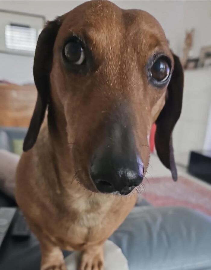 Session ID: 1001136.