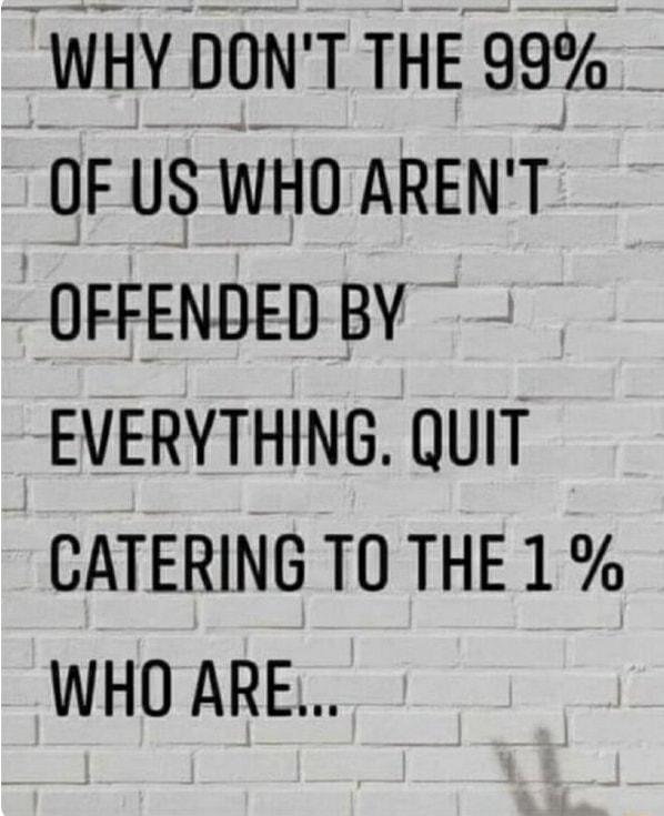 WHY DONT THE 99 OF US WHO ARENT OFFENDED BY EVERYTHING QUIT CATERING TO THE 1 WHO ARE
