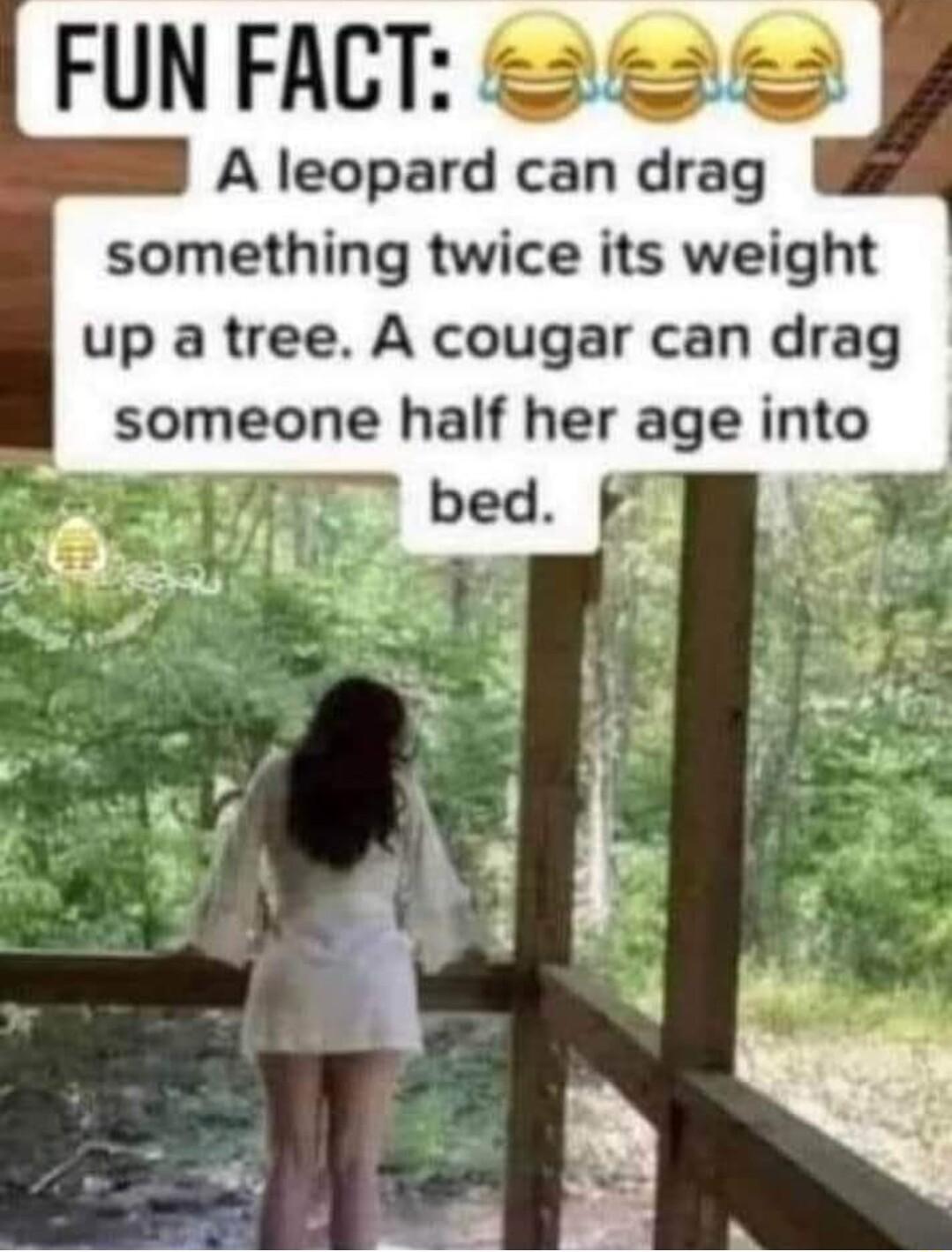 FUNFACT ea s A leopard can drag something twice its weight up a tree A cougar can drag someone half her age into