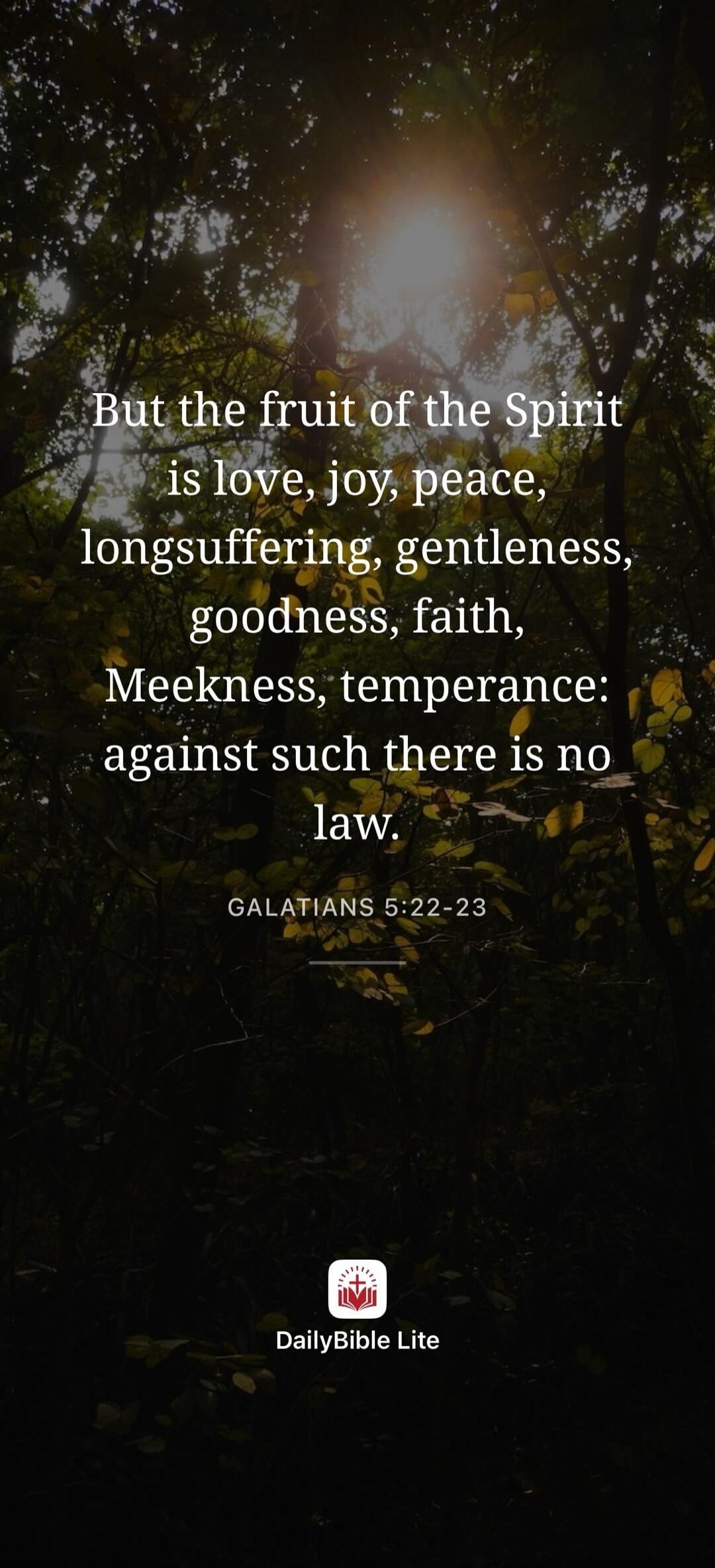But the fruit of the Spirit is love, joy, peace, longsuffering, gentleness, goodness, faith, Meekness, temperance: against such there is no law. GALATIANS 5:22-23 DailyBible Lite
