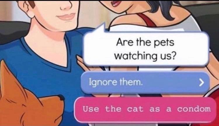 Are the pets N watching us Ignore them Use o o B o F F JI Wi oT0 s Lo o 1