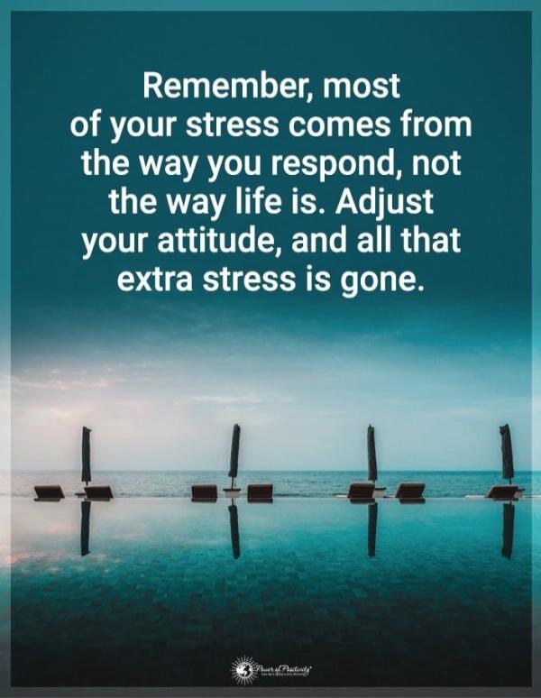 Remember, most of your stress comes from the way you respond, not the way life is. Adjust your attitude, and all that extra stress is gone.