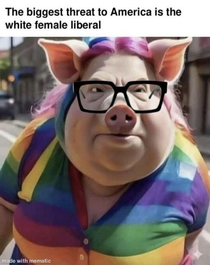 The biggest threat to America is the white female liberal made with mematic
