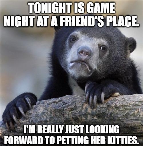 NIGHTAT A IIIIEIIII SP PLACE FORWARD TO PETTING HER KITTIES