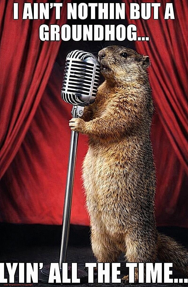 I ain't nothin but a groundhog... lyin' all the time...
