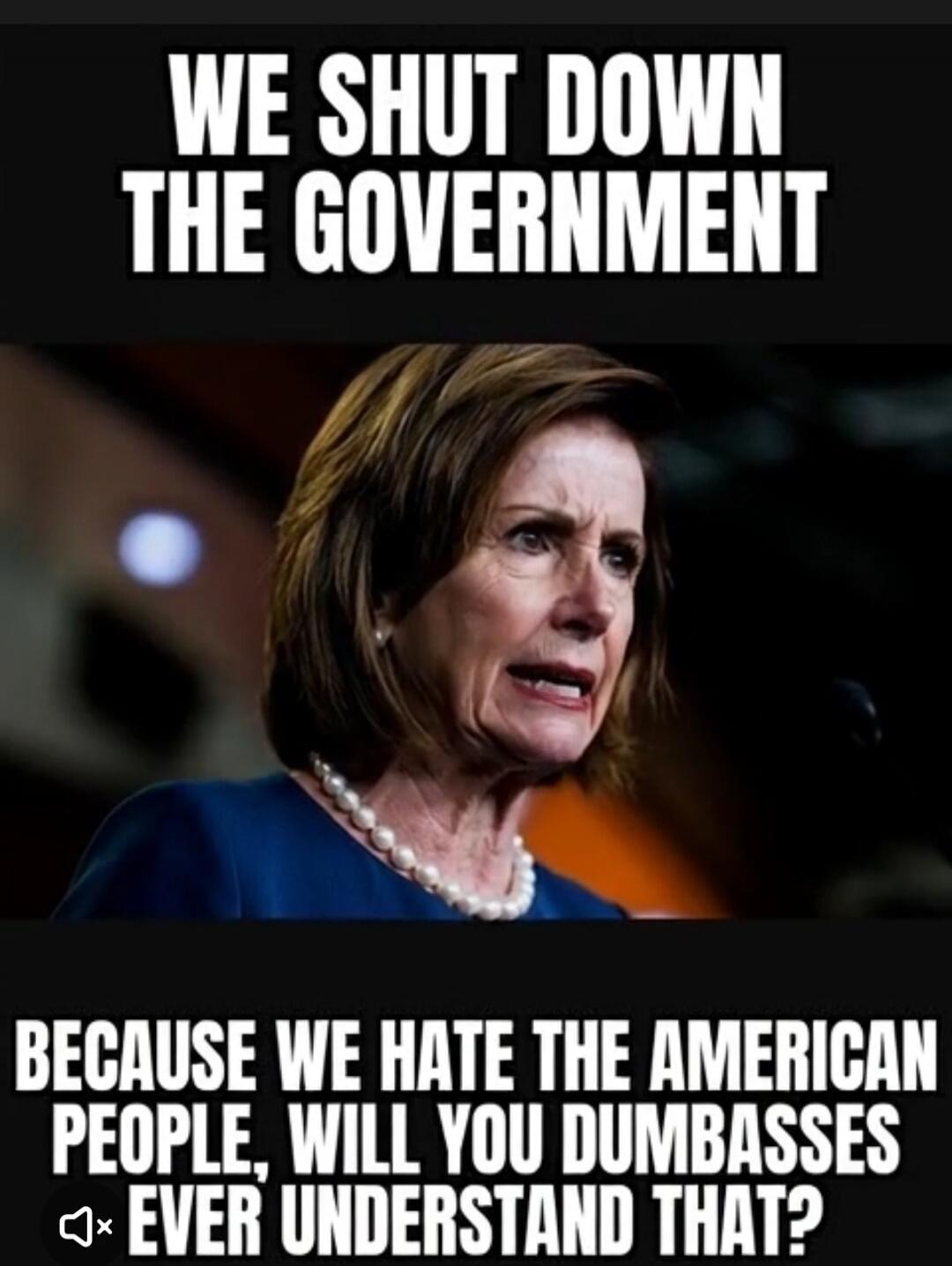 WE SHUT DOWN THE GOVERNMENT BECAUSE WE HATE THE AMERICAN PEOPLE, WILL YOU DUMBASSES EVER UNDERSTAND THAT?
